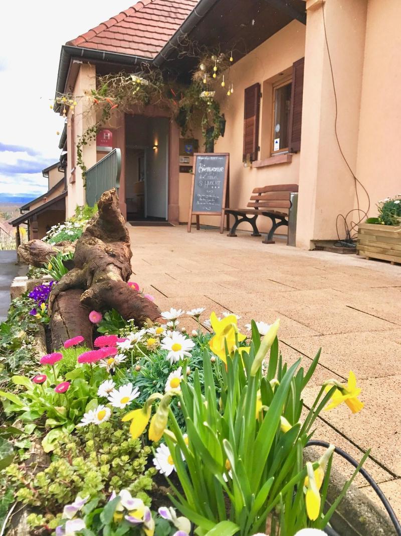 Vignoble Hotel, 4* Eguisheim