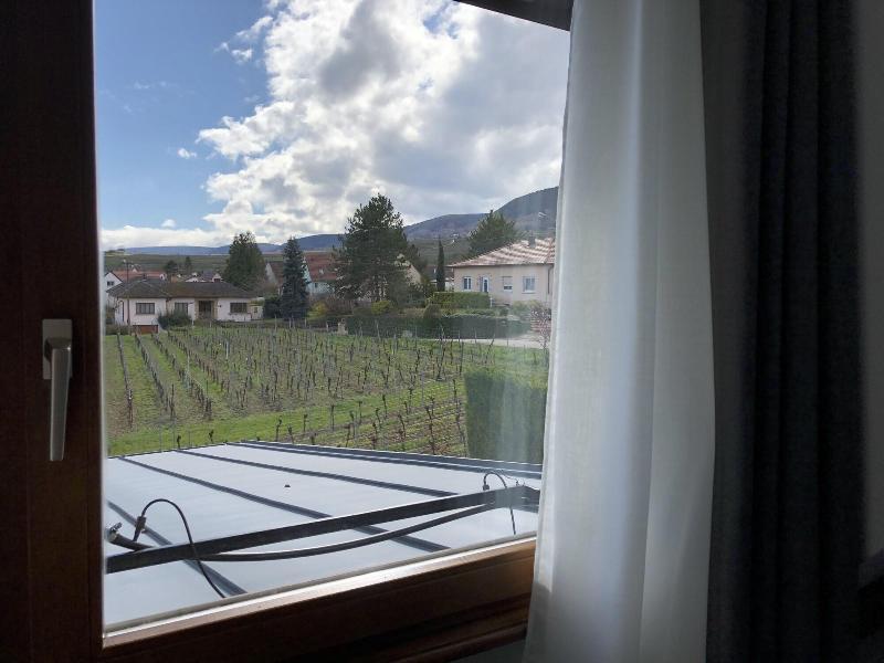 Vignoble Hotel, Hotel Eguisheim