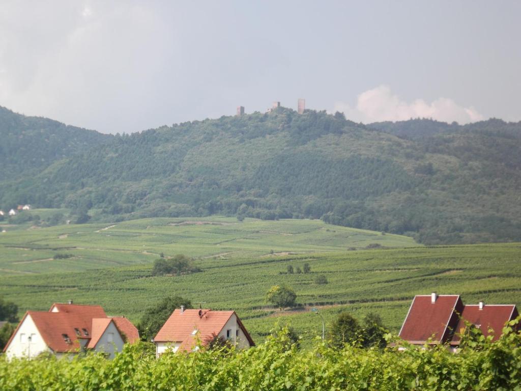 Vignoble Hotel, 4*